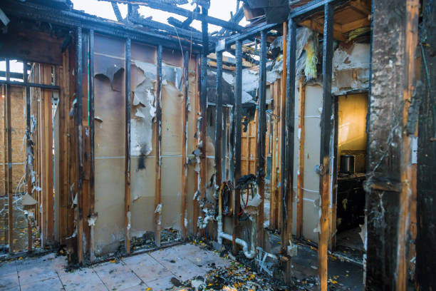 Professional Fire Damage Removal technician working in Oak Grove, AL